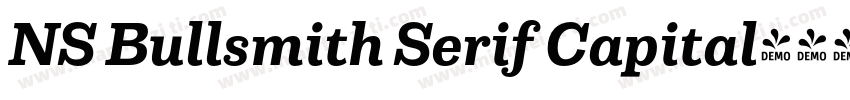 NS Bullsmith Serif Capital字体转换
